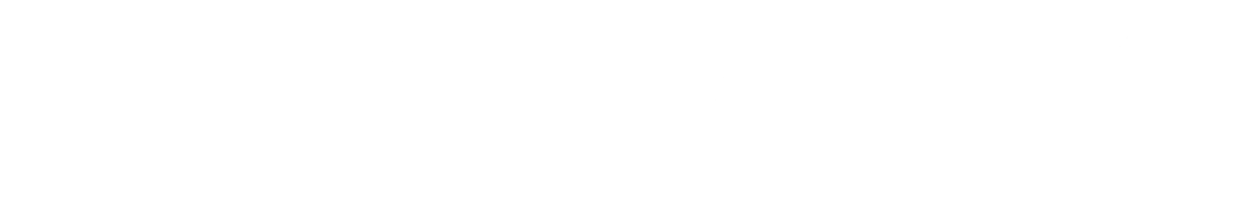fanatik logo white
